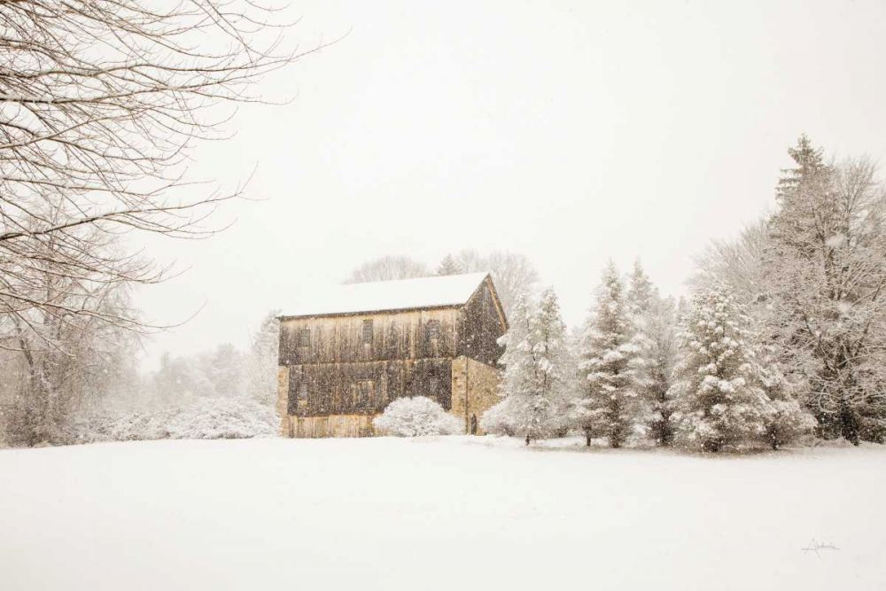 First snow art print by Aledanda for $57.95 CAD