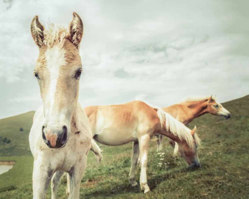 Three Buddies art print by Aledanda for $57.95 CAD