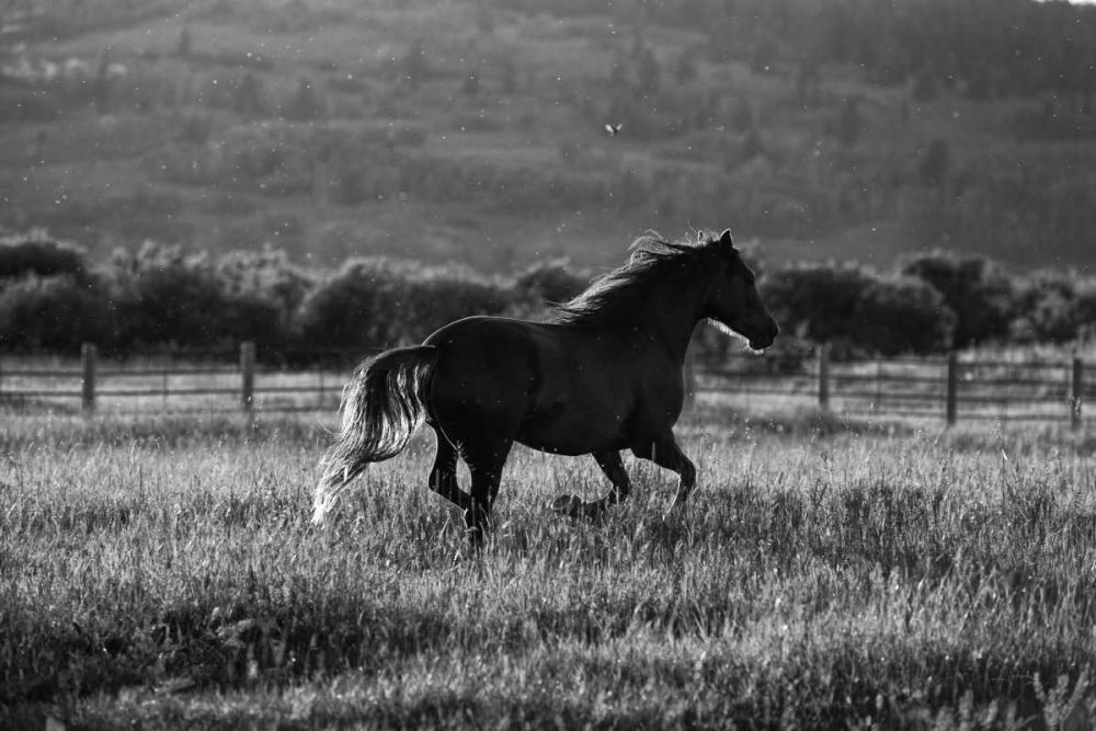 Going Home art print by Aledanda for $57.95 CAD
