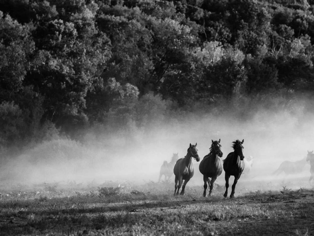 Horse country art print by Aledanda for $57.95 CAD