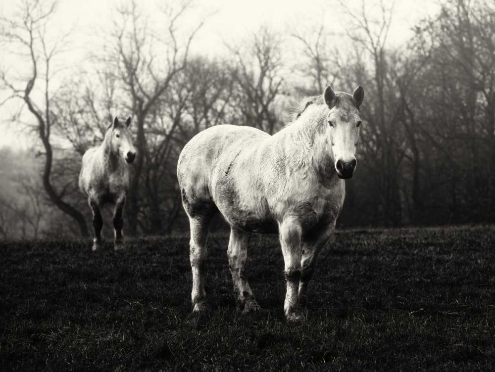 Leading the Way art print by Aledanda for $57.95 CAD