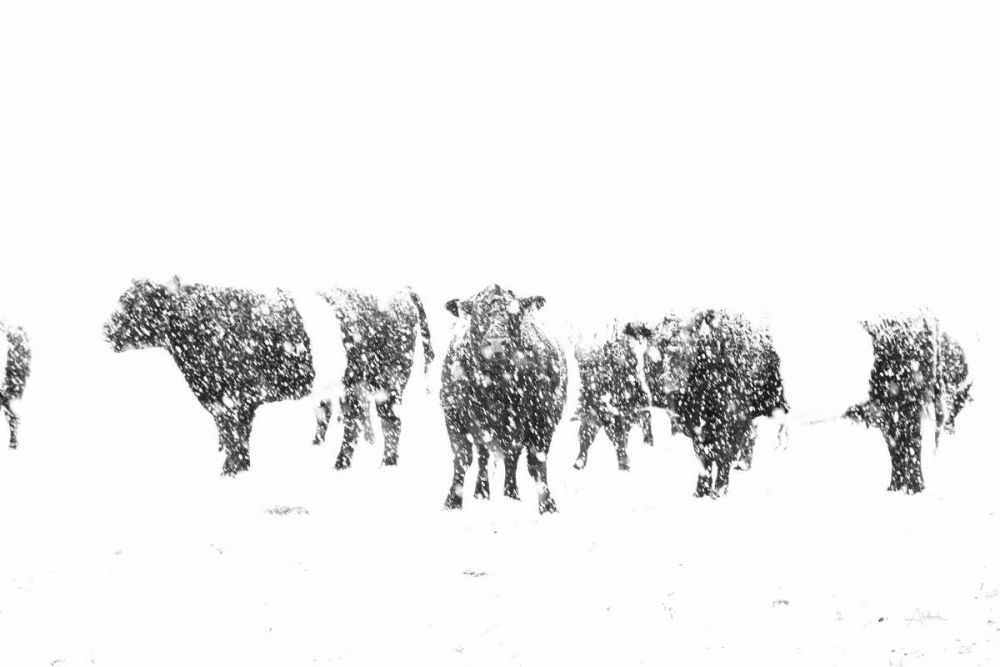 Oreos and Milk II art print by Aledanda for $57.95 CAD