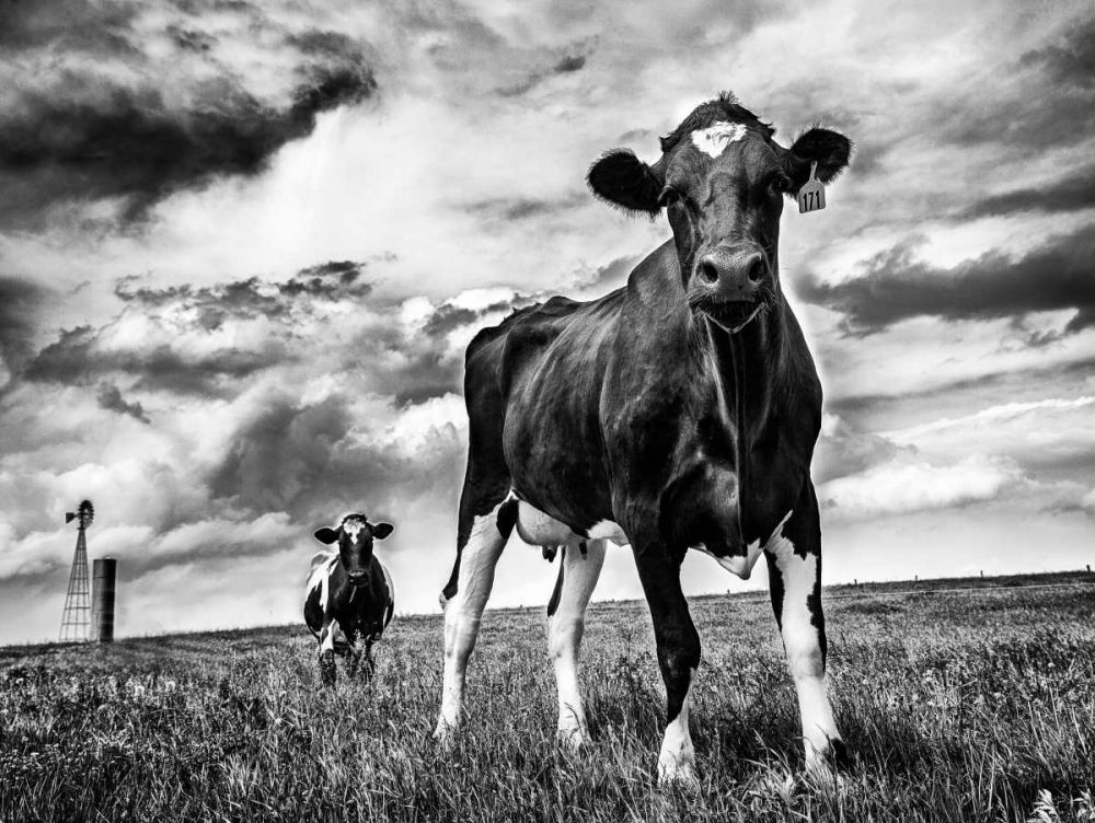 Waiting BW art print by Aledanda for $57.95 CAD
