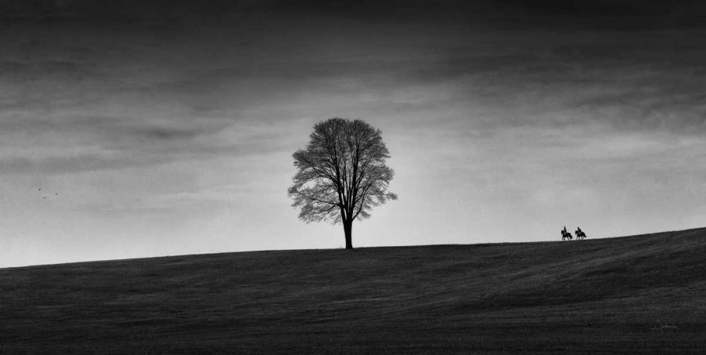 In the Distance art print by Aledanda for $57.95 CAD