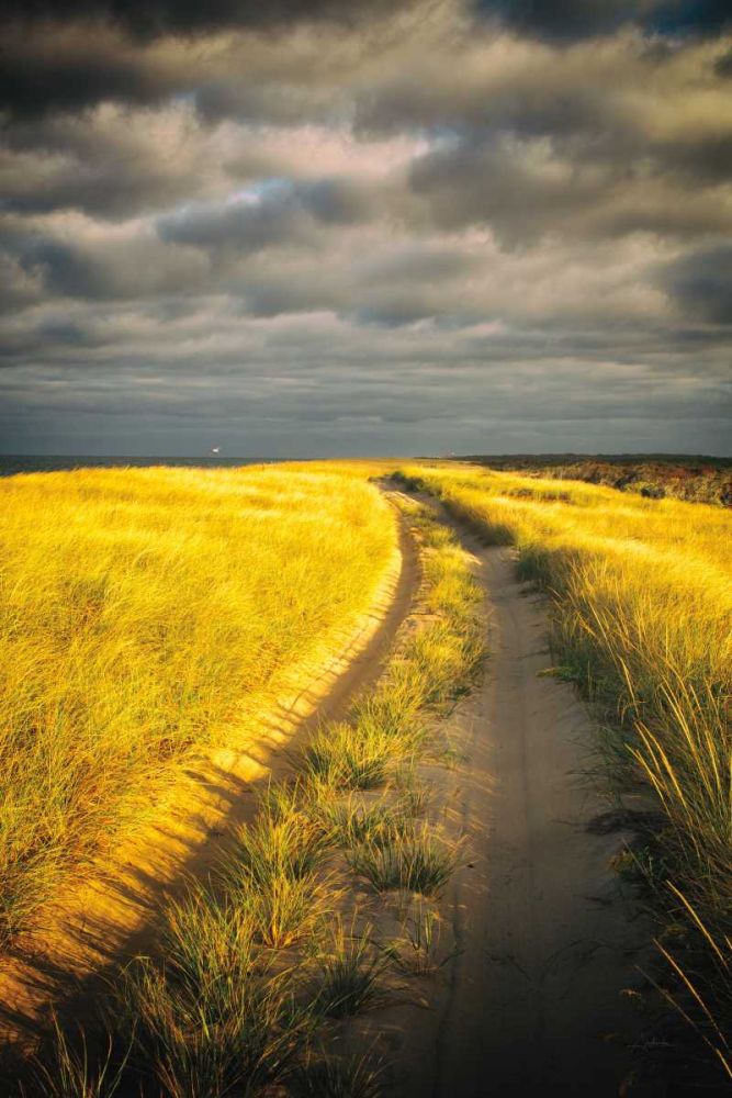 Down the Road art print by Aledanda for $57.95 CAD