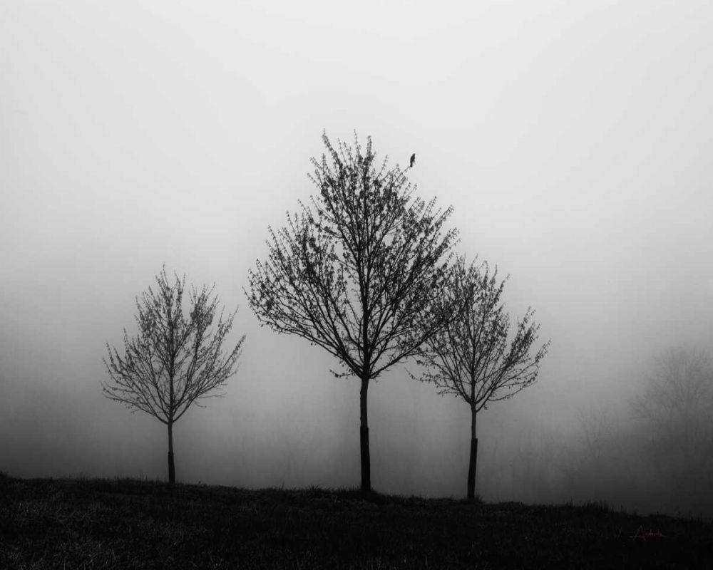 In the Fog Crop art print by Aledanda for $57.95 CAD