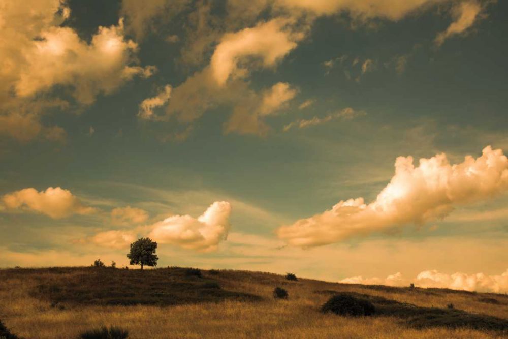 What Beautiful Clouds art print by Aledanda for $57.95 CAD