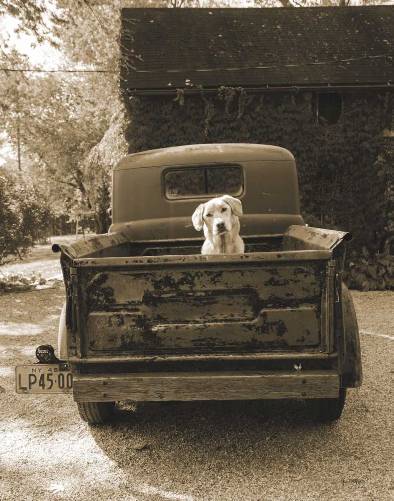 Get Out of Dodge art print by Jim Dratfield for $57.95 CAD
