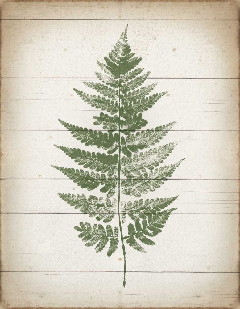 Fern Print I v2 art print by Moira Hershey for $57.95 CAD