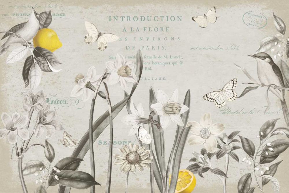 Citron Curiosities I Gray art print by Katie Pertiet for $57.95 CAD