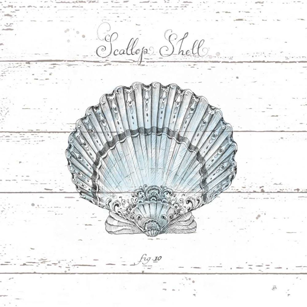 Aqua Underwater Life VIII Shiplap art print by Daphne Brissonnet for $57.95 CAD
