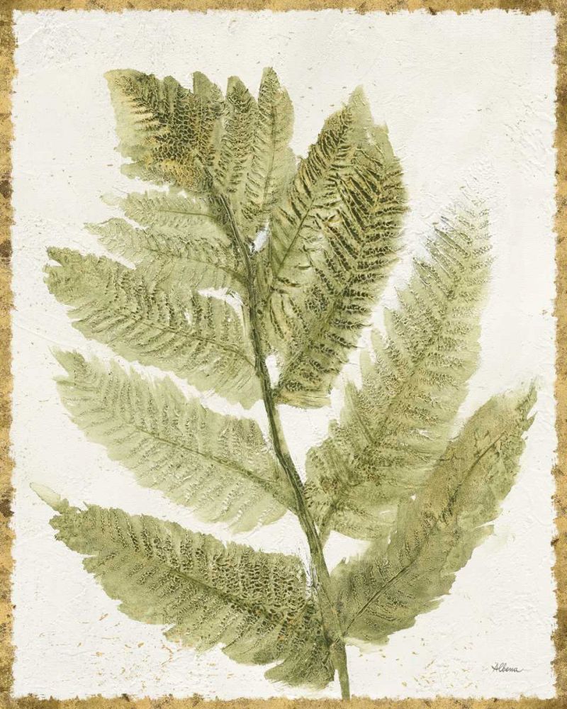 Forest Ferns I Antique art print by Albena Hristova for $57.95 CAD