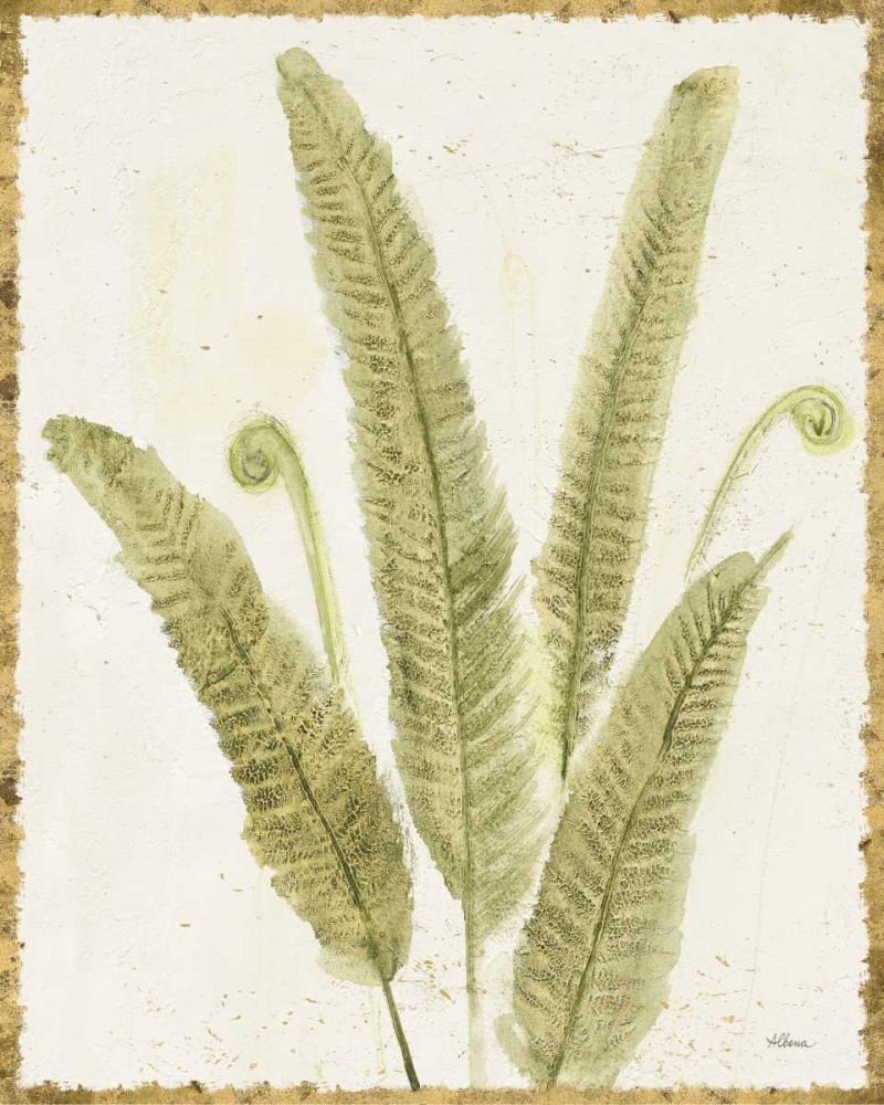 Forest Ferns II v2 Antique art print by Albena Hristova for $57.95 CAD