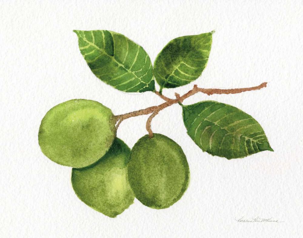 Citrus Garden II art print by Kathleen Parr McKenna for $57.95 CAD