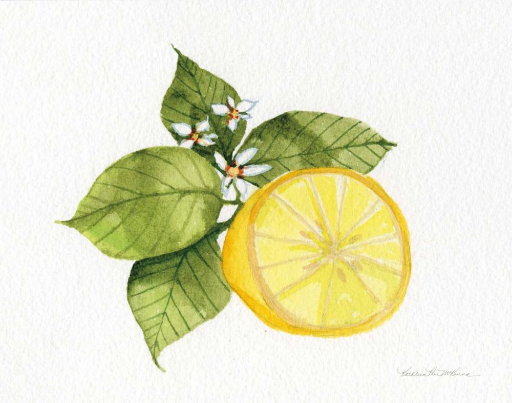 Citrus Garden IX art print by Kathleen Parr McKenna for $57.95 CAD
