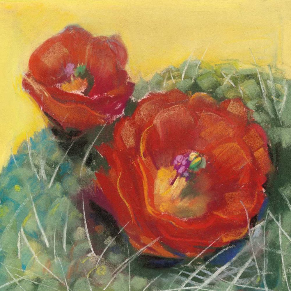 Blooming Succulent I art print by Carol Rowan for $57.95 CAD