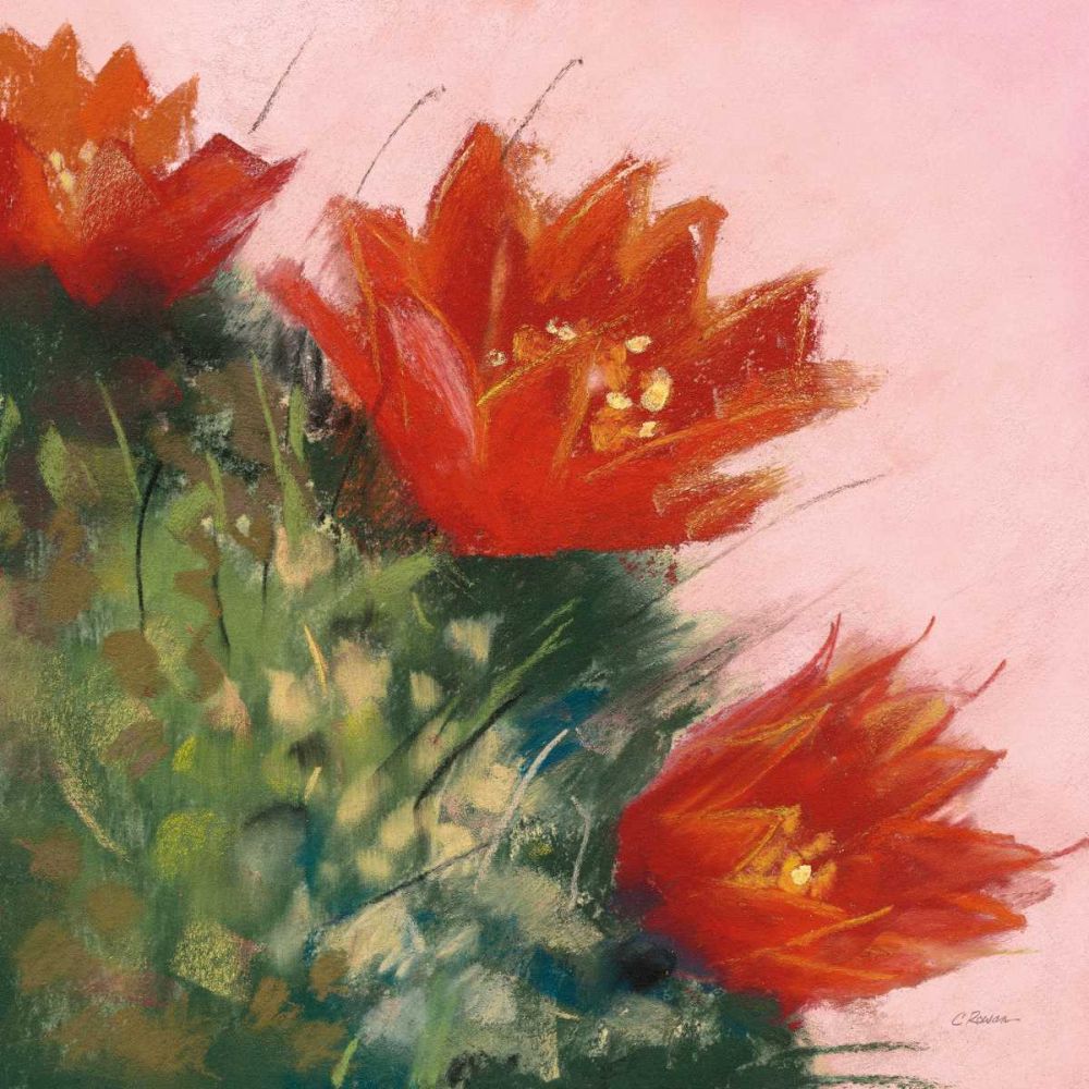 Blooming Succulent IV art print by Carol Rowan for $57.95 CAD