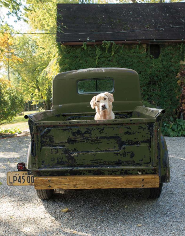 Get Out of Dodge Hunter Green art print by Jim Dratfield for $57.95 CAD
