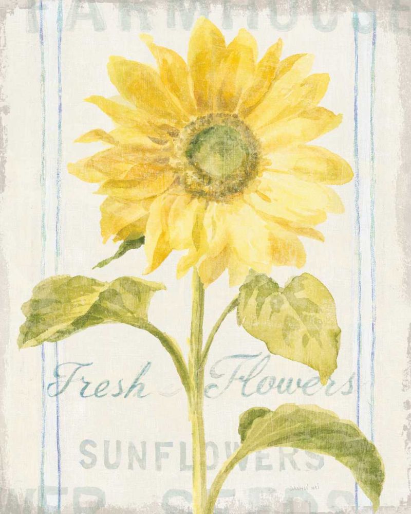 Floursack Florals II art print by Danhui Nai for $57.95 CAD