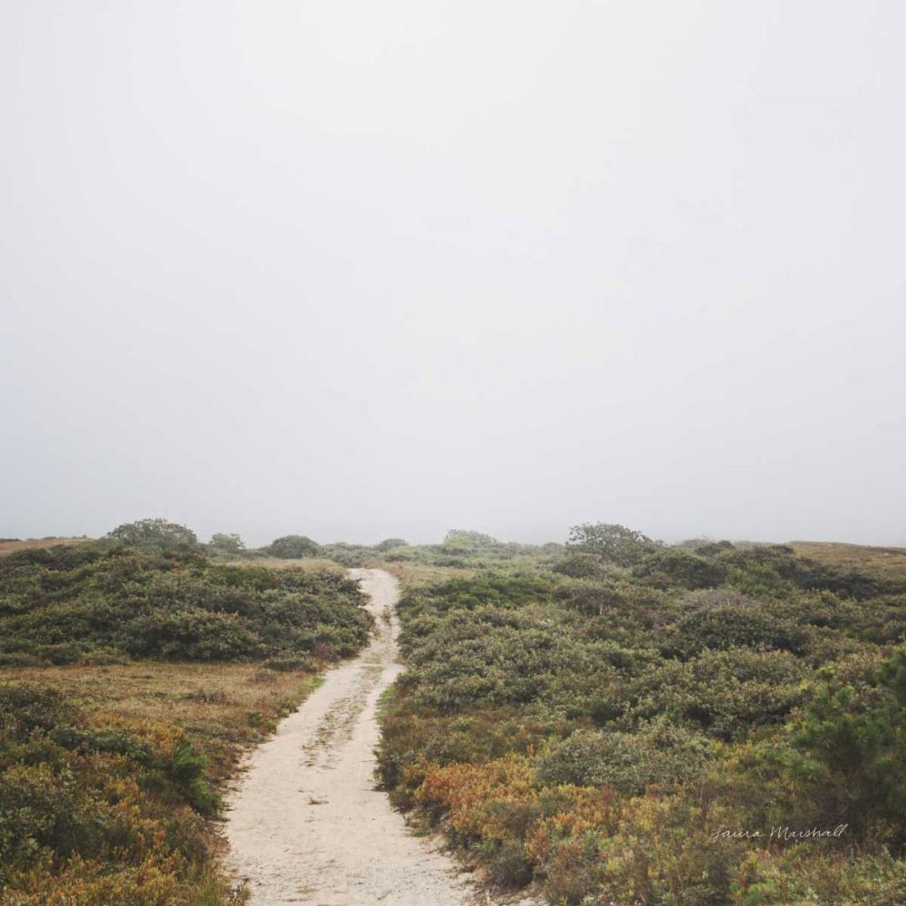 Off the Beaten Path art print by Laura Marshall for $57.95 CAD