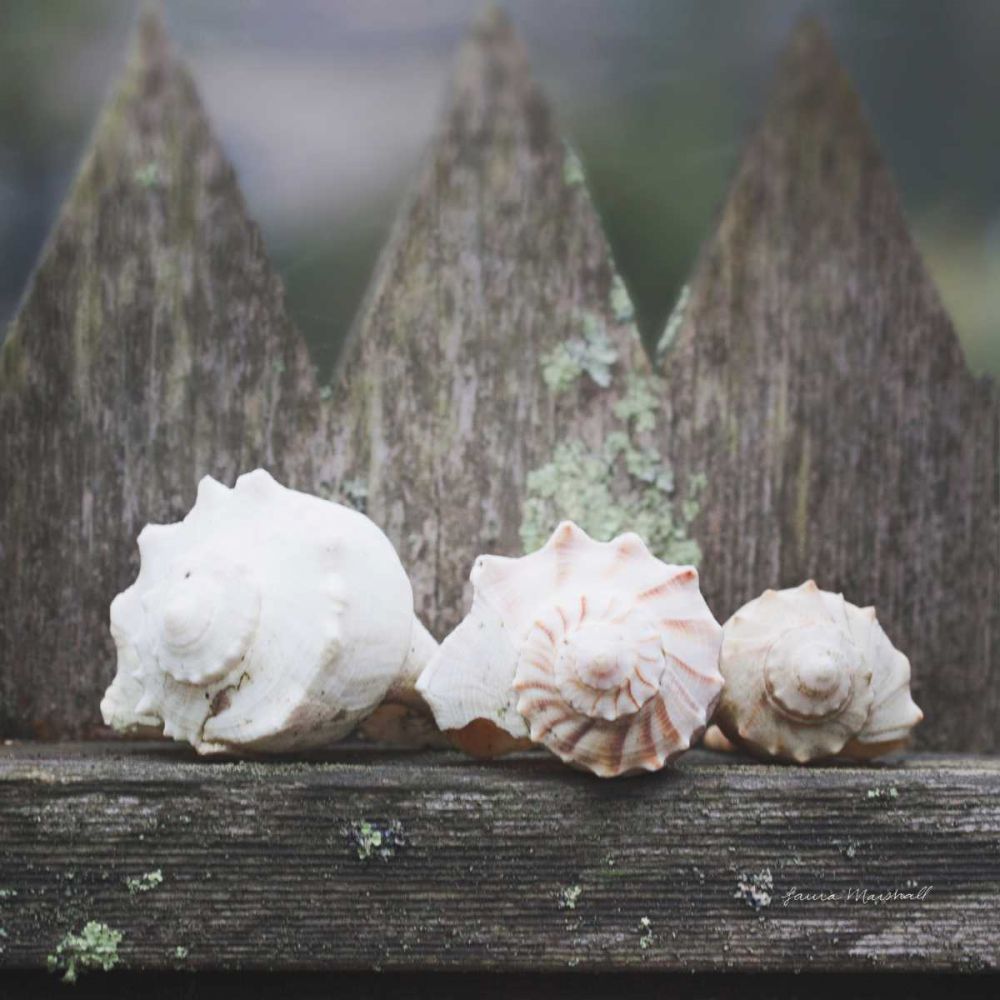 Beach Treasures art print by Laura Marshall for $57.95 CAD