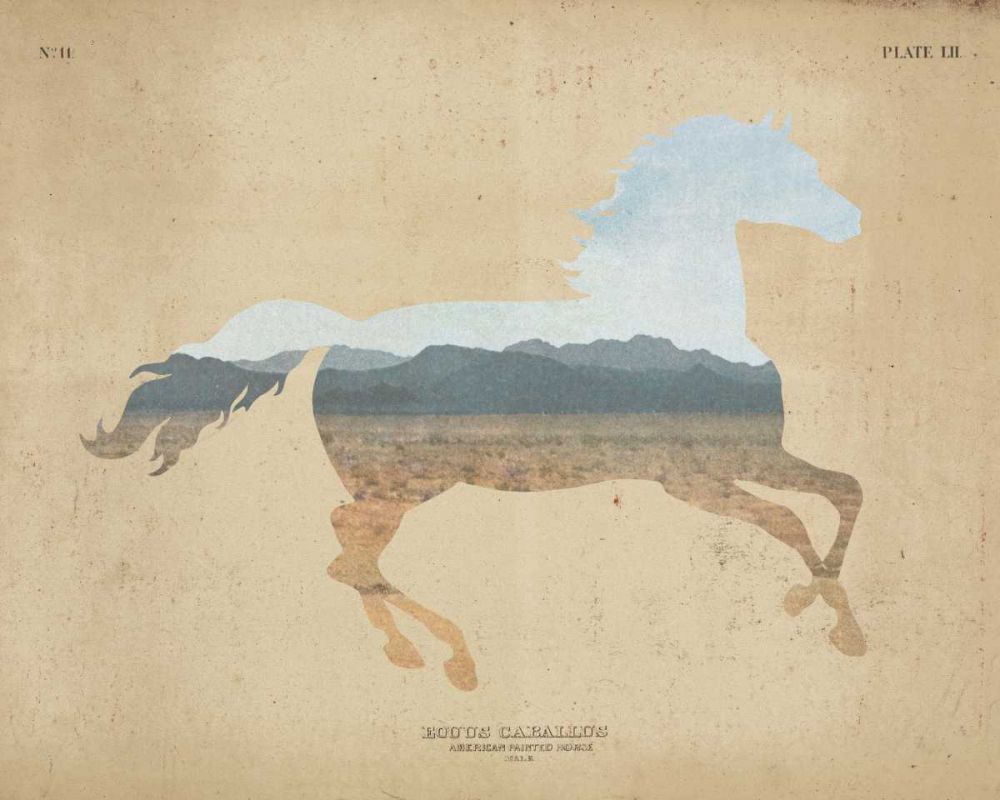 American Southwest Horse Distressed art print by Wild Apple Portfolio for $57.95 CAD