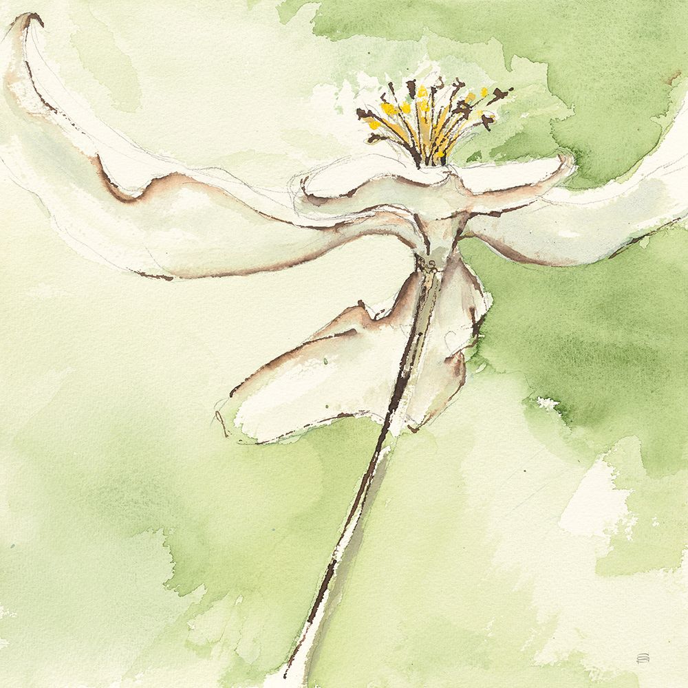 After Dogwood II art print by Chris Paschke for $57.95 CAD