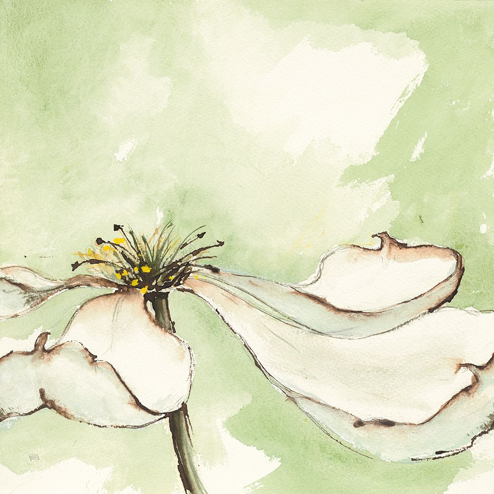 After Dogwood I art print by Chris Paschke for $57.95 CAD