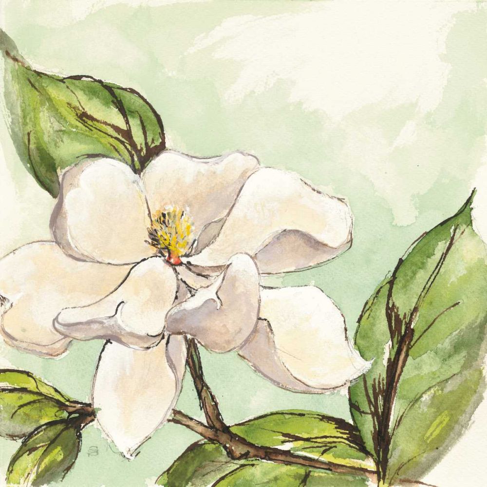Magnolia I art print by Chris Paschke for $57.95 CAD