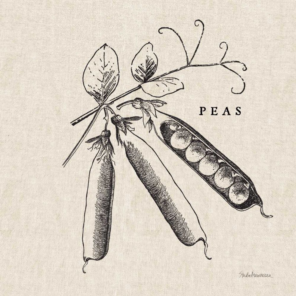 Burlap Vegetable BW Sketch Peas art print by Studio Mousseau for $57.95 CAD