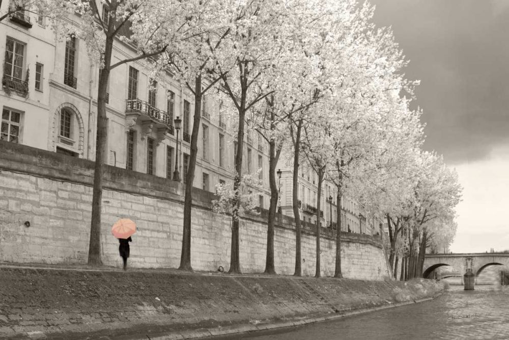 Paris in the Rain III art print by Sue Schlabach for $57.95 CAD