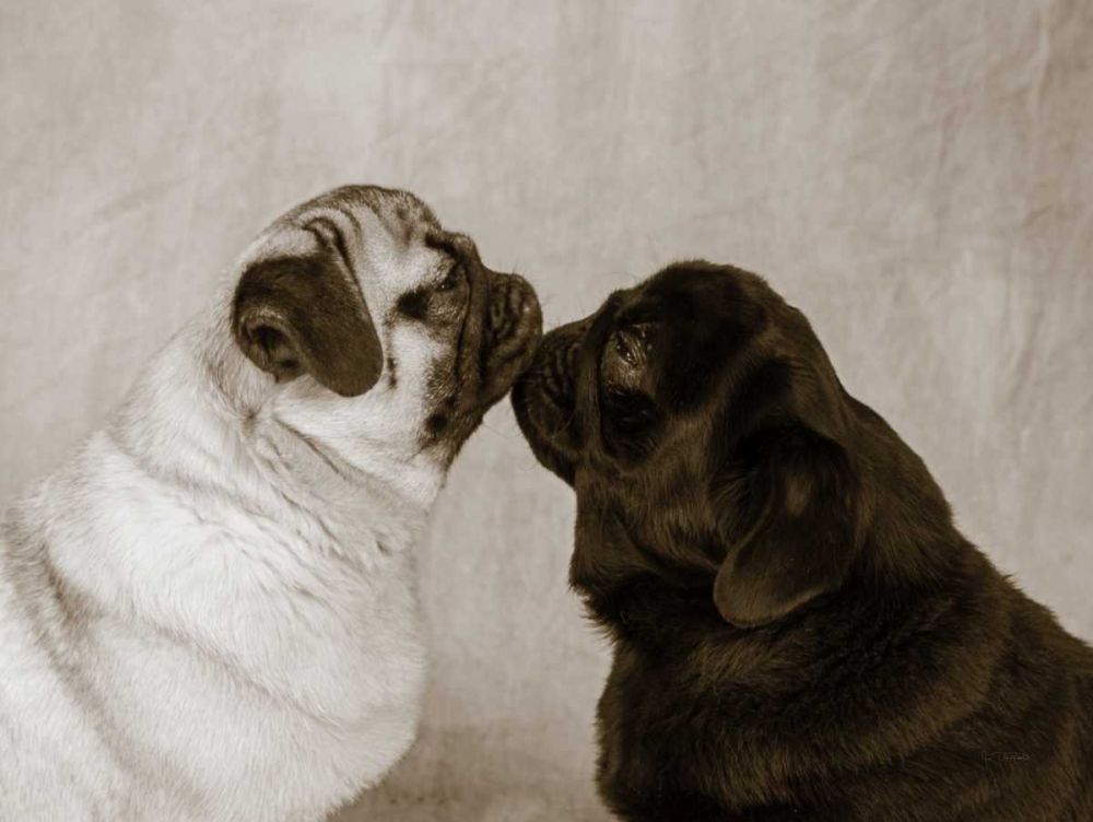 Pooch Smooch art print by Jim Dratfield for $57.95 CAD