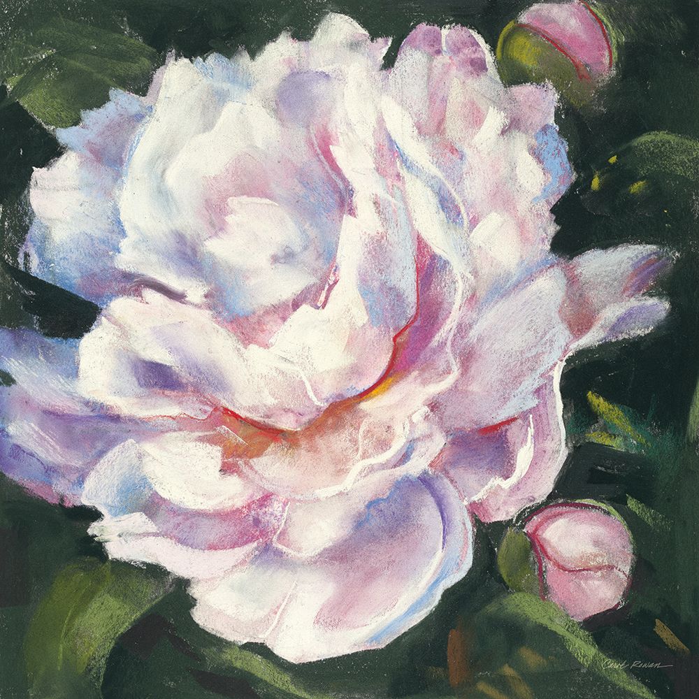 Peony III art print by Carol Rowan for $57.95 CAD