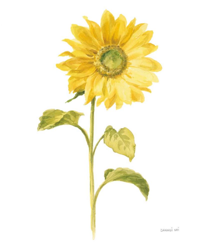 Floursack Florals on White II art print by Danhui Nai for $57.95 CAD