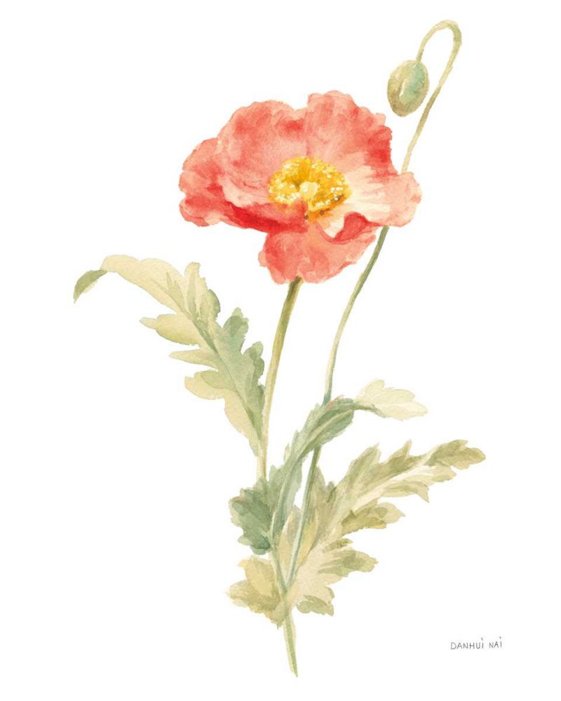 Floursack Florals on White IV art print by Danhui Nai for $57.95 CAD