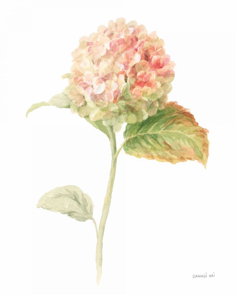 Floursack Florals on White V art print by Danhui Nai for $57.95 CAD