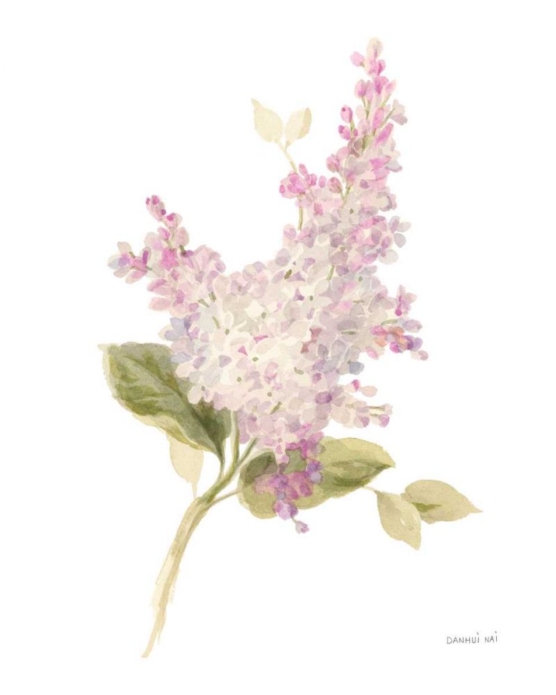 Floursack Florals on White VI art print by Danhui Nai for $57.95 CAD