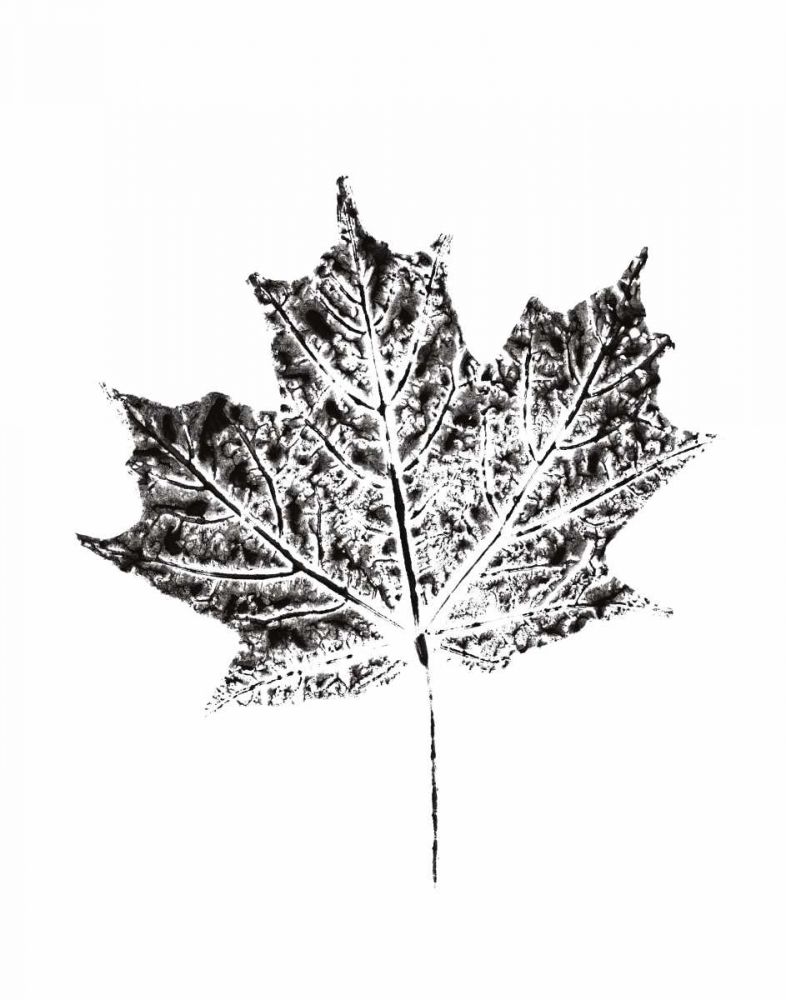Harvest Sentiments I BW no Words art print by Moira Hershey for $57.95 CAD