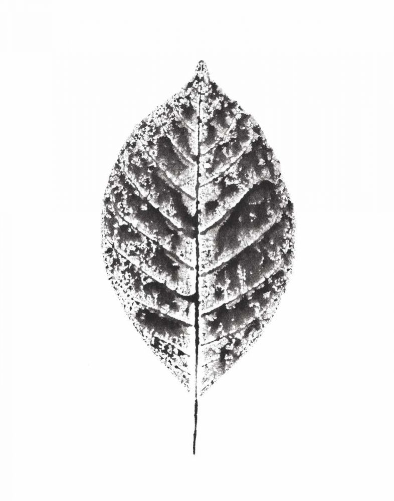 Harvest Sentiments V BW no Words art print by Moira Hershey for $57.95 CAD
