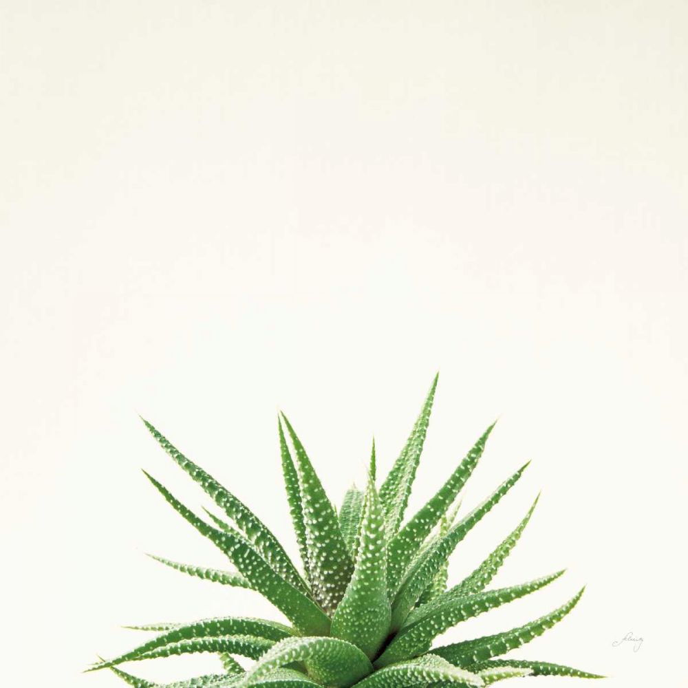 Succulent Simplicity I Neutral art print by Felicity Bradley for $57.95 CAD