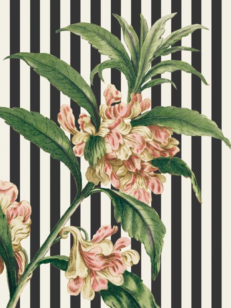 Herbal Botanical XXVI Bold art print by Wild Apple Portfolio for $57.95 CAD