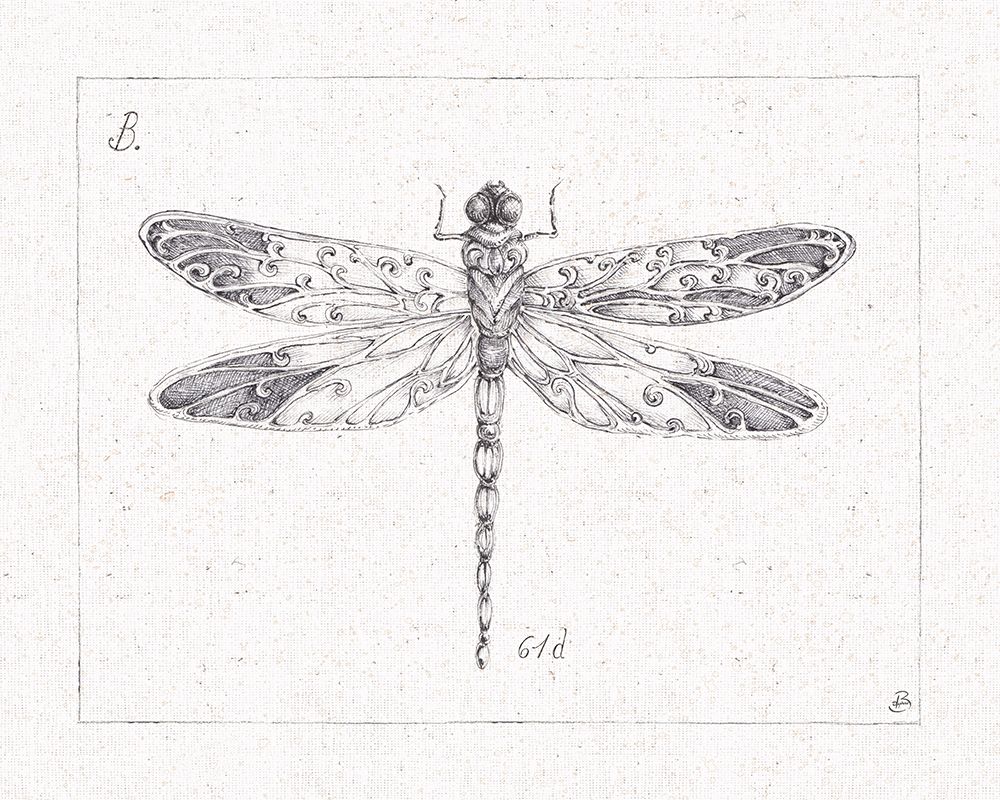 Outdoor Beauties IV art print by Daphne Brissonnet for $57.95 CAD