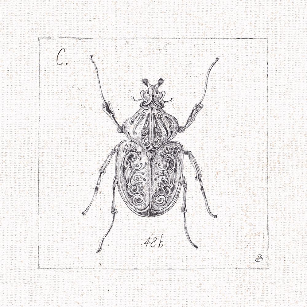 Outdoor Beauties IX art print by Daphne Brissonnet for $57.95 CAD