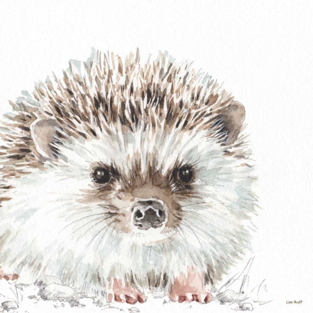 Forest Friends I art print by Lisa Audit for $57.95 CAD