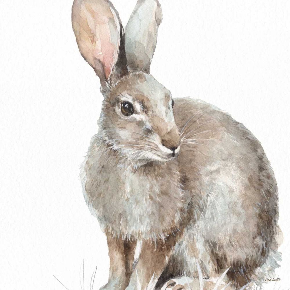 Forest Friends II art print by Lisa Audit for $57.95 CAD