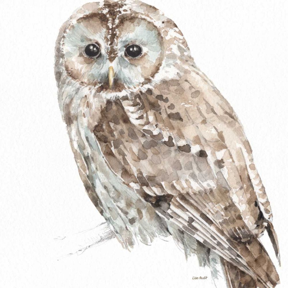 Forest Friends III art print by Lisa Audit for $57.95 CAD