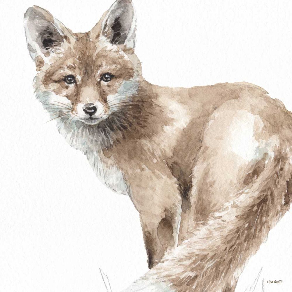 Forest Friends V art print by Lisa Audit for $57.95 CAD