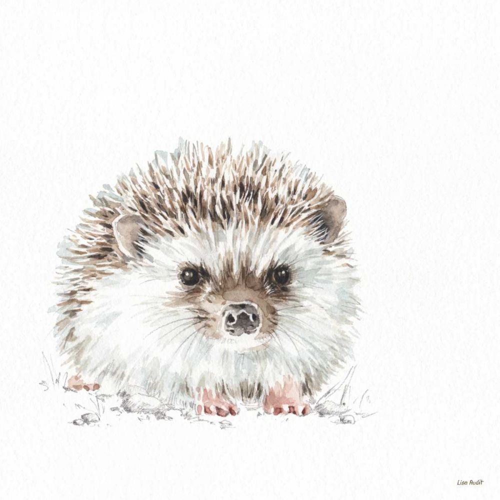 Forest Friends VII art print by Lisa Audit for $57.95 CAD