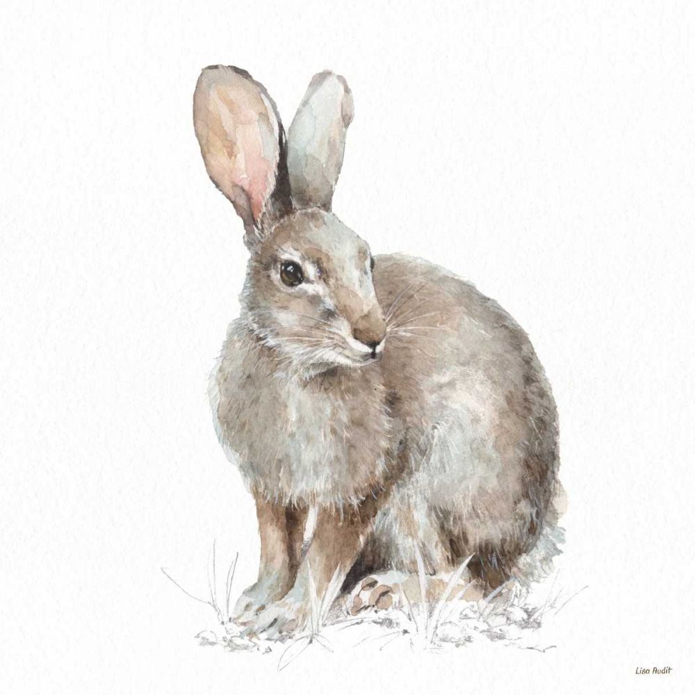 Forest Friends VIII art print by Lisa Audit for $57.95 CAD