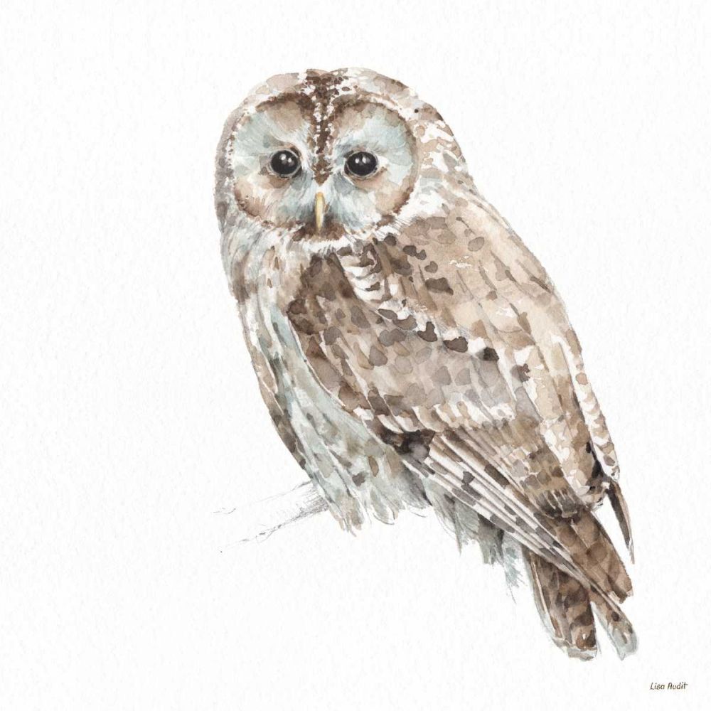 Forest Friends IX art print by Lisa Audit for $57.95 CAD